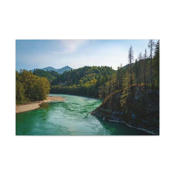 River Through Pine Tree Green Forest Nature Wilderness Photography Canvas Wall A